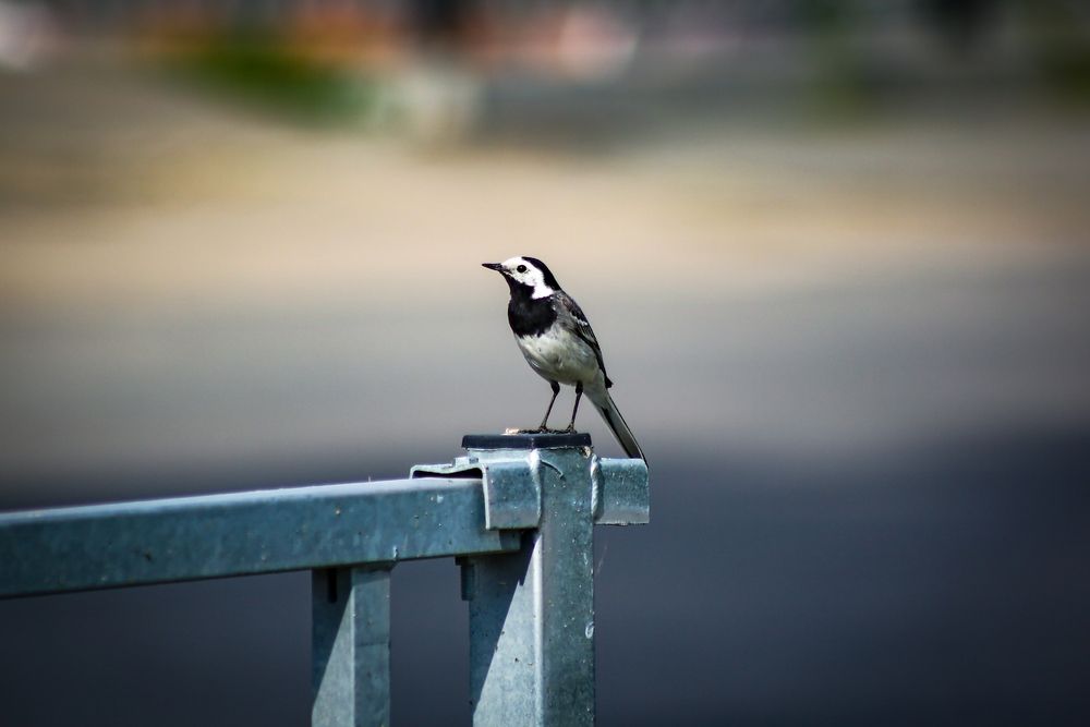 Photograph by Дмитрий Конкин