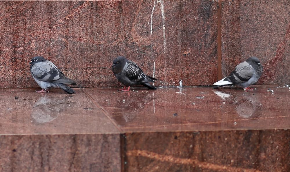 Photograph by Сергей Дудаков