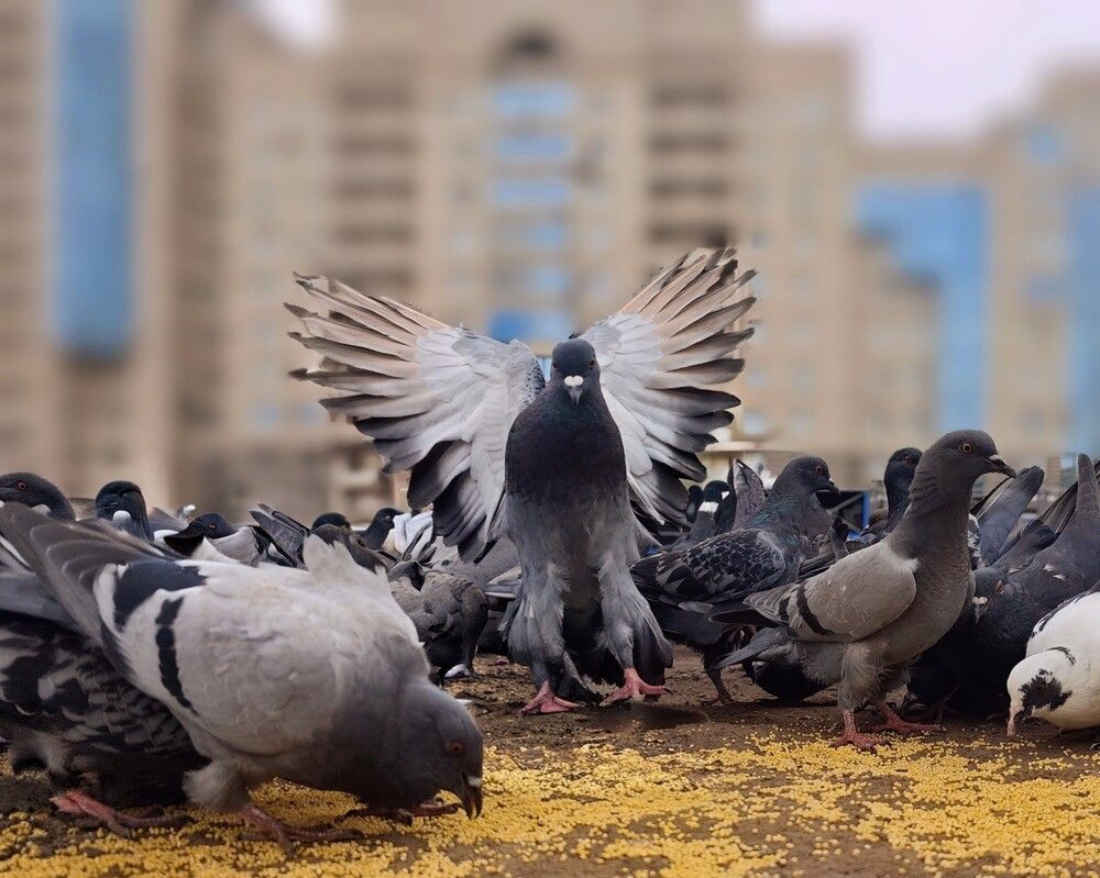 Photograph by Игорь Бахарев