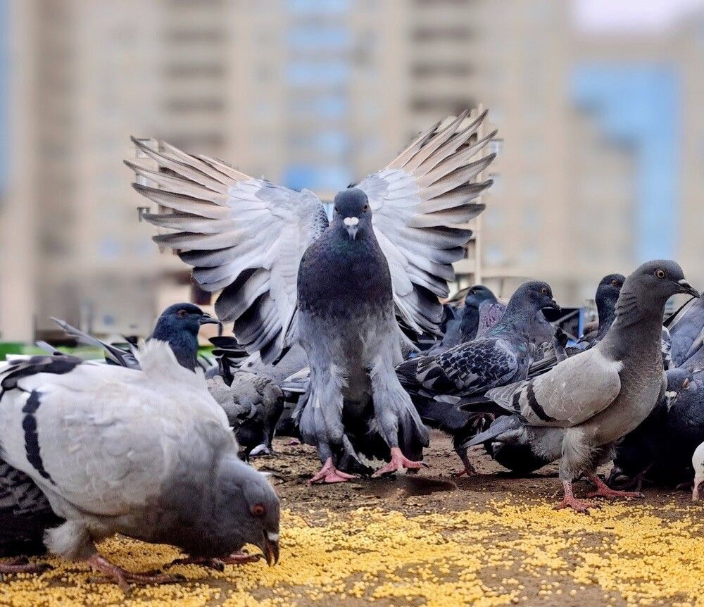 Photograph by Игорь Бахарев