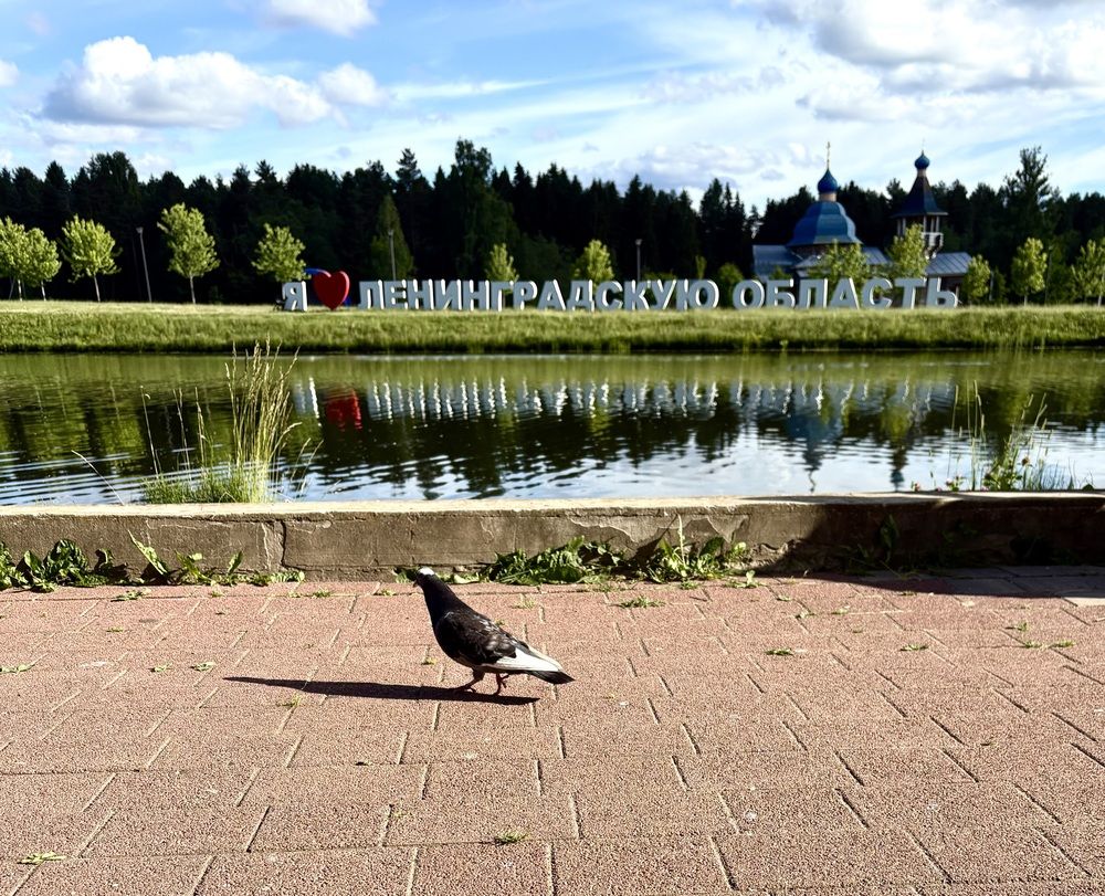 Photograph by Василина Щеглова