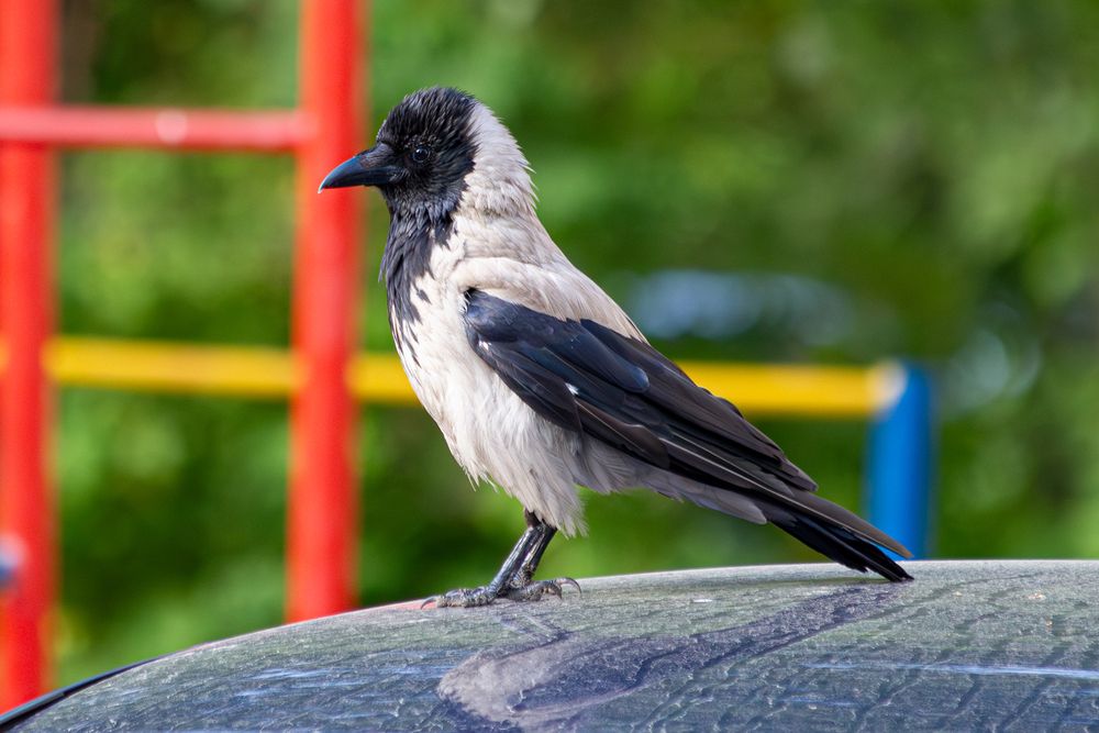 Photograph by Полина Ф