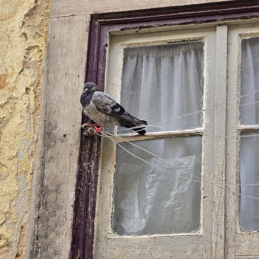 Photograph by Светлана