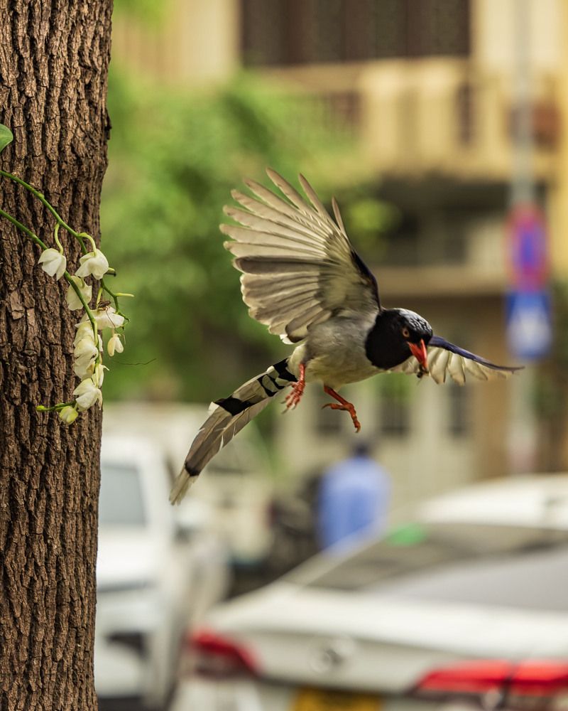 Photograph by QUAN NGUYEN HUNG