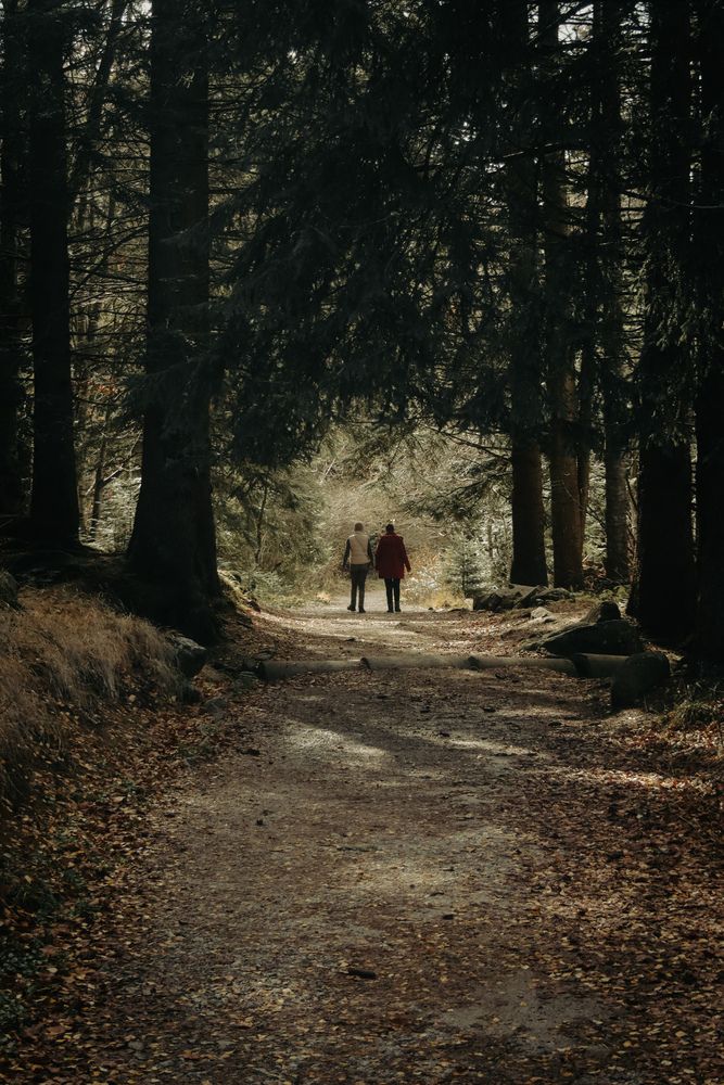 Photograph by Boyana Borisova