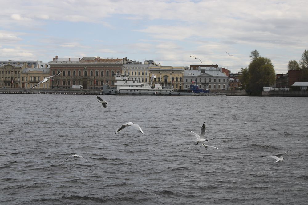 Photograph by Мария Колпакова