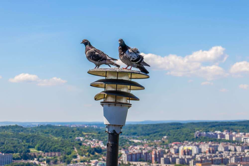 Photograph by Виталий Панченко