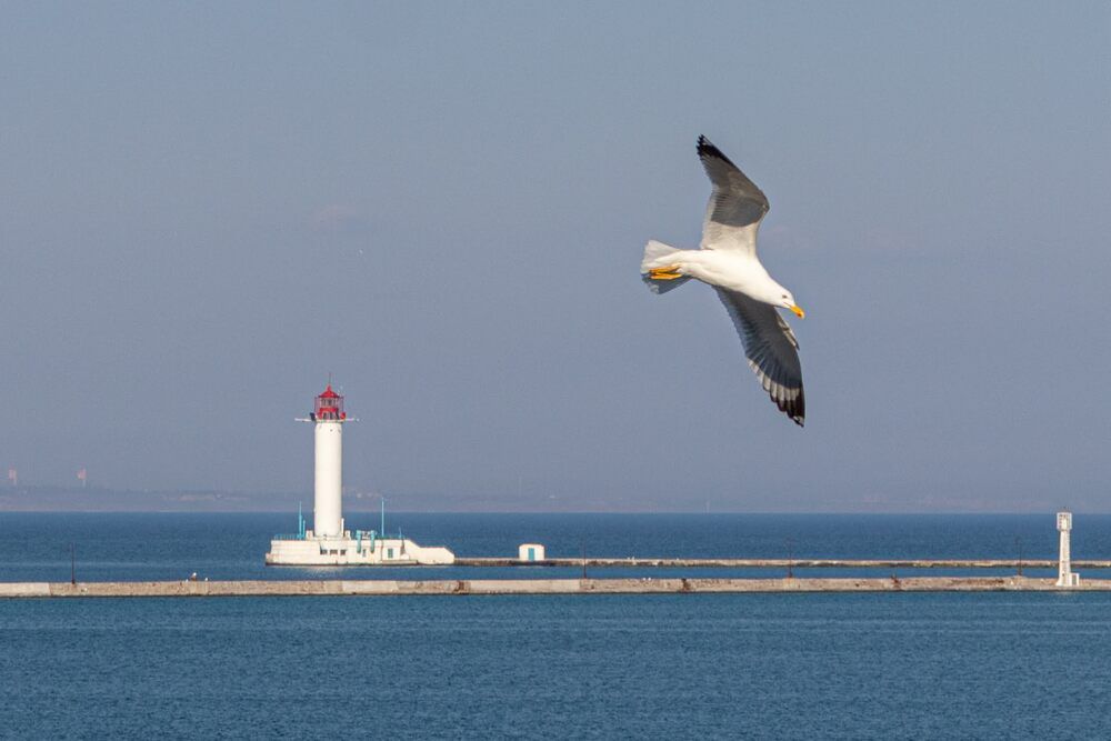 Photograph by Виталий Панченко