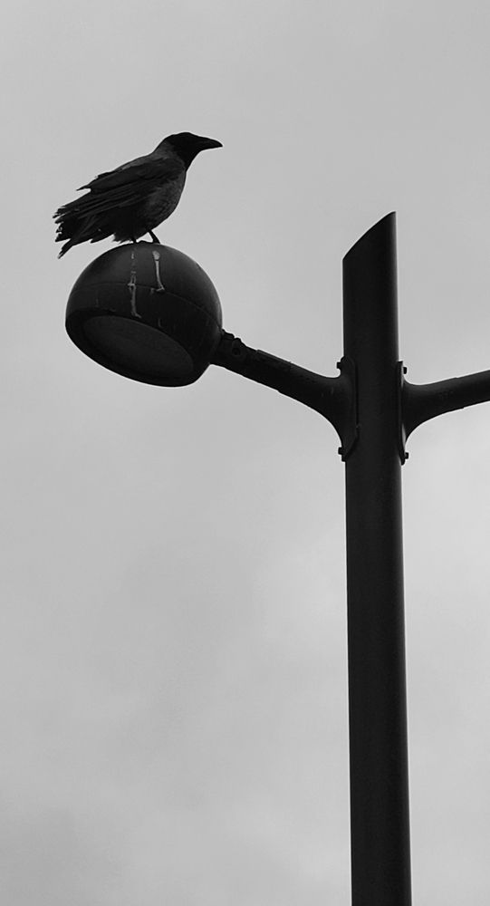 Photograph by Елена Юдина