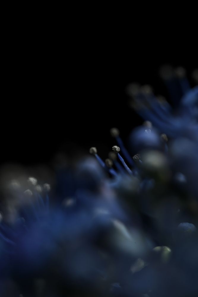 Фотография автора Ikuta Hidenori