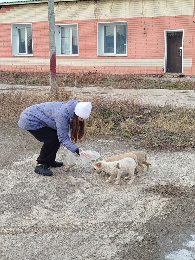 Photograph by Слесарева Елизавета