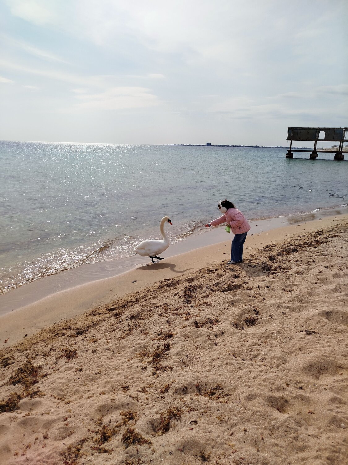 Photo #13697051