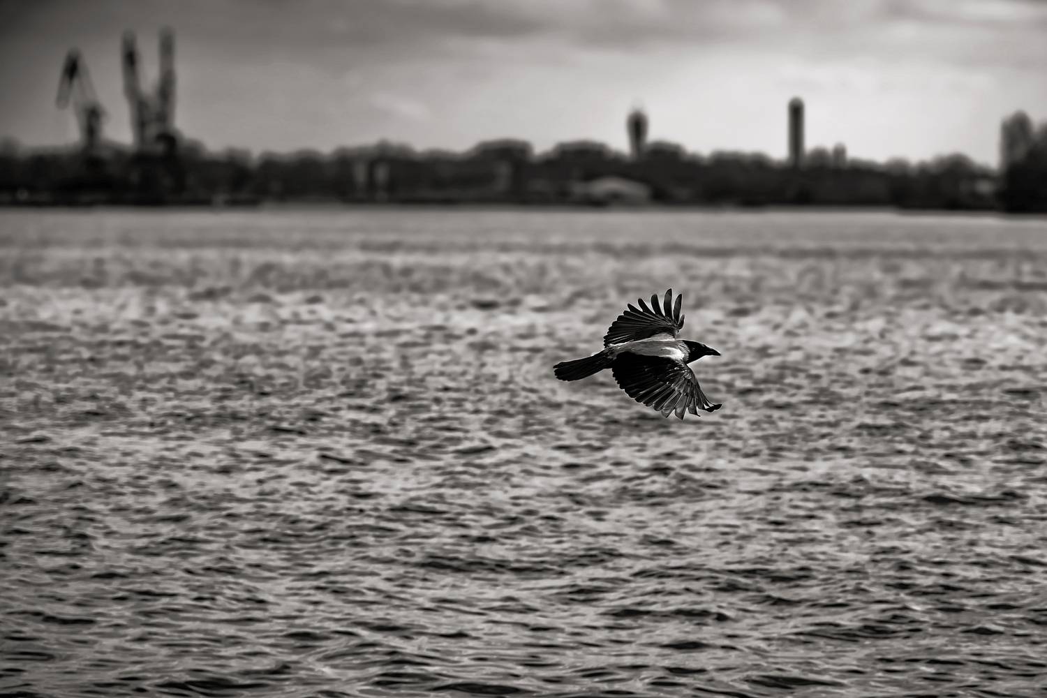 City harbor guard