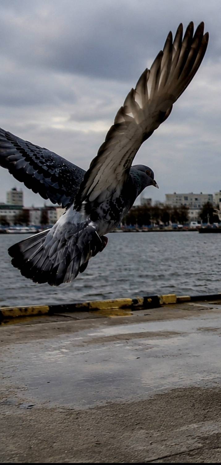 Urban Takeoff