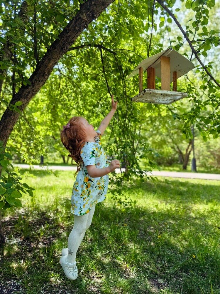 Ева