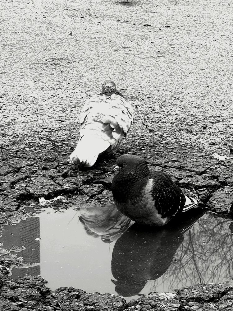 Photograph by Рузинова Елена