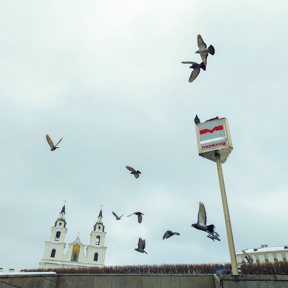 Photograph by Ирина Жебрун