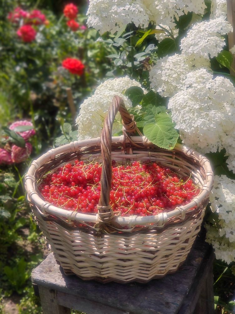 Photograph by Александра Исаева