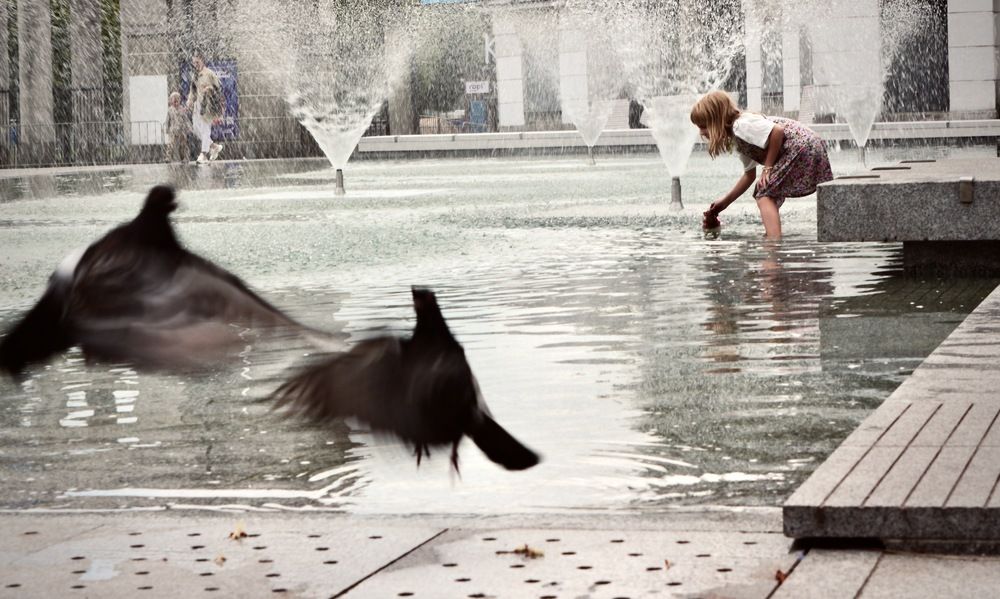 Photo #13697251