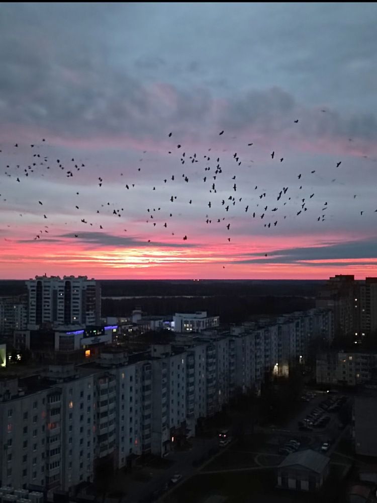 Photograph by Елена Пархоменко