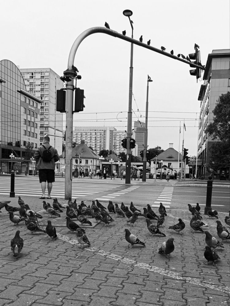 Photograph by Елена Пархоменко