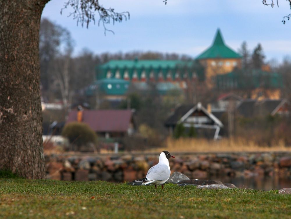 Photograph by Александр Русин