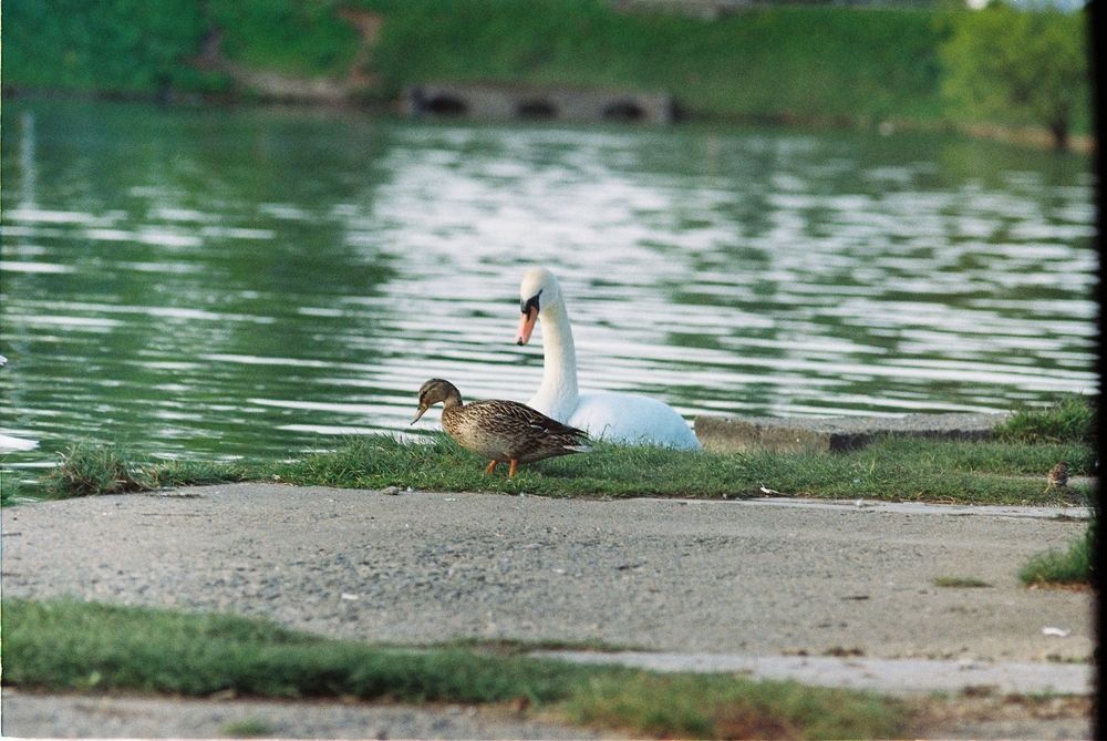 Photograph by Александр Сотниченко