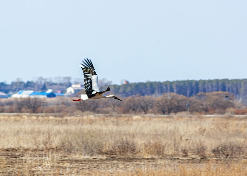 Photograph by Виктор Фельдшеров