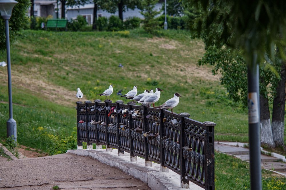 Photograph by Алексей Логинов