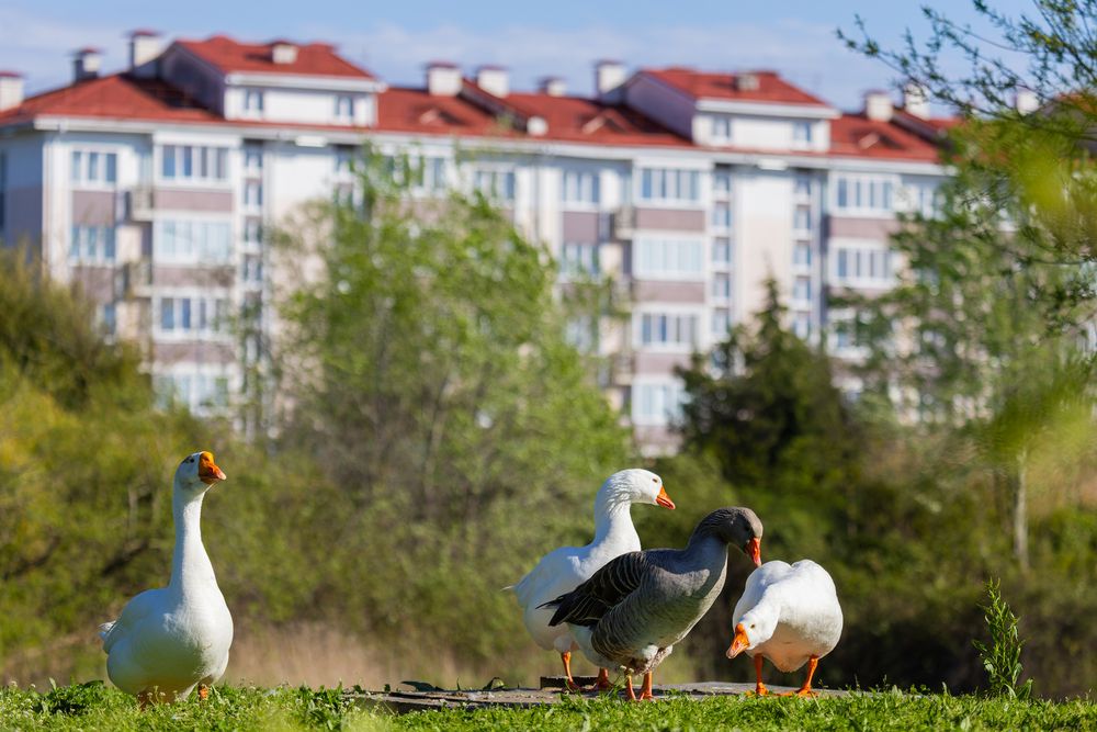 Photograph by Екатерина Якель