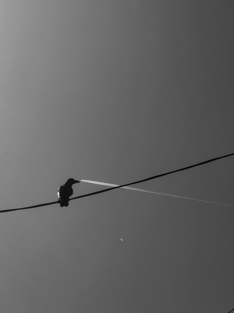 Photograph by Yug Shah