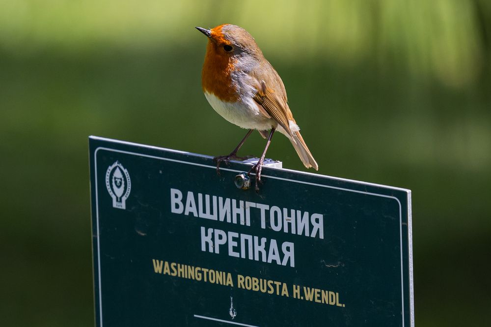 Photograph by Екатерина Якель
