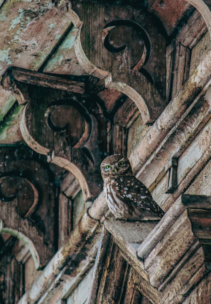 Photograph by Евгения Флиорчук