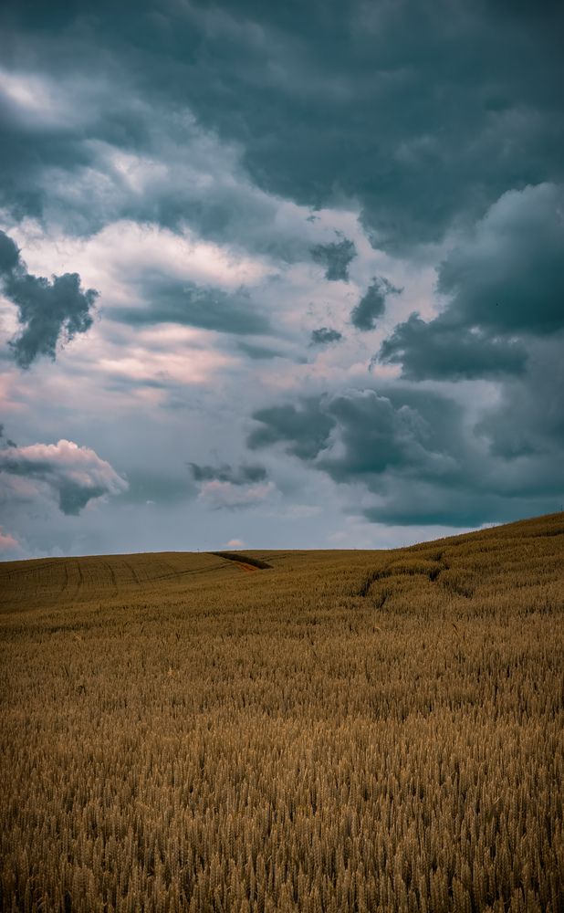 Фотография автора Геннадий Ломеко