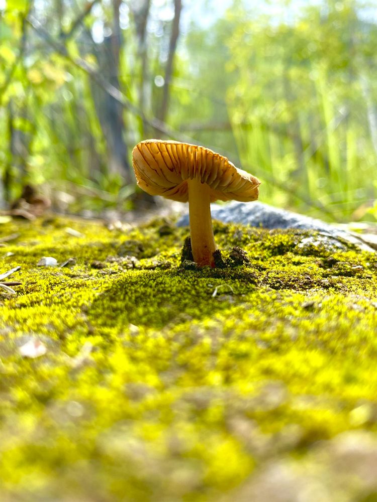 Photograph by Дарья Антоновна