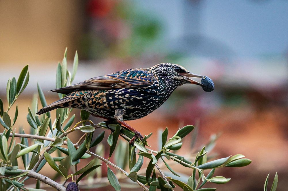 Photograph by Александр Шандов