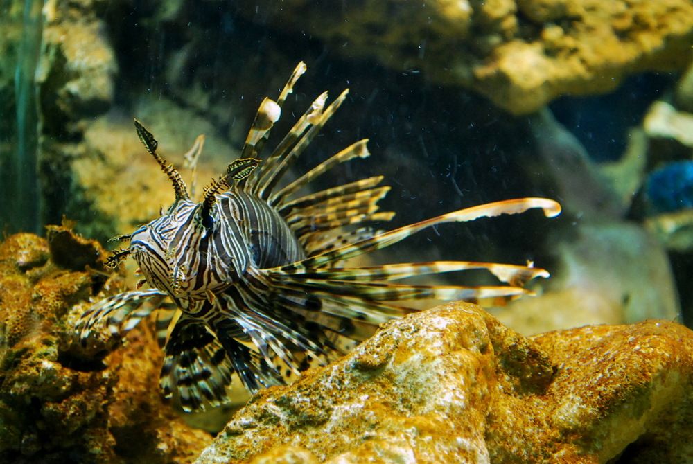 Photograph by Анастасия Смирнова