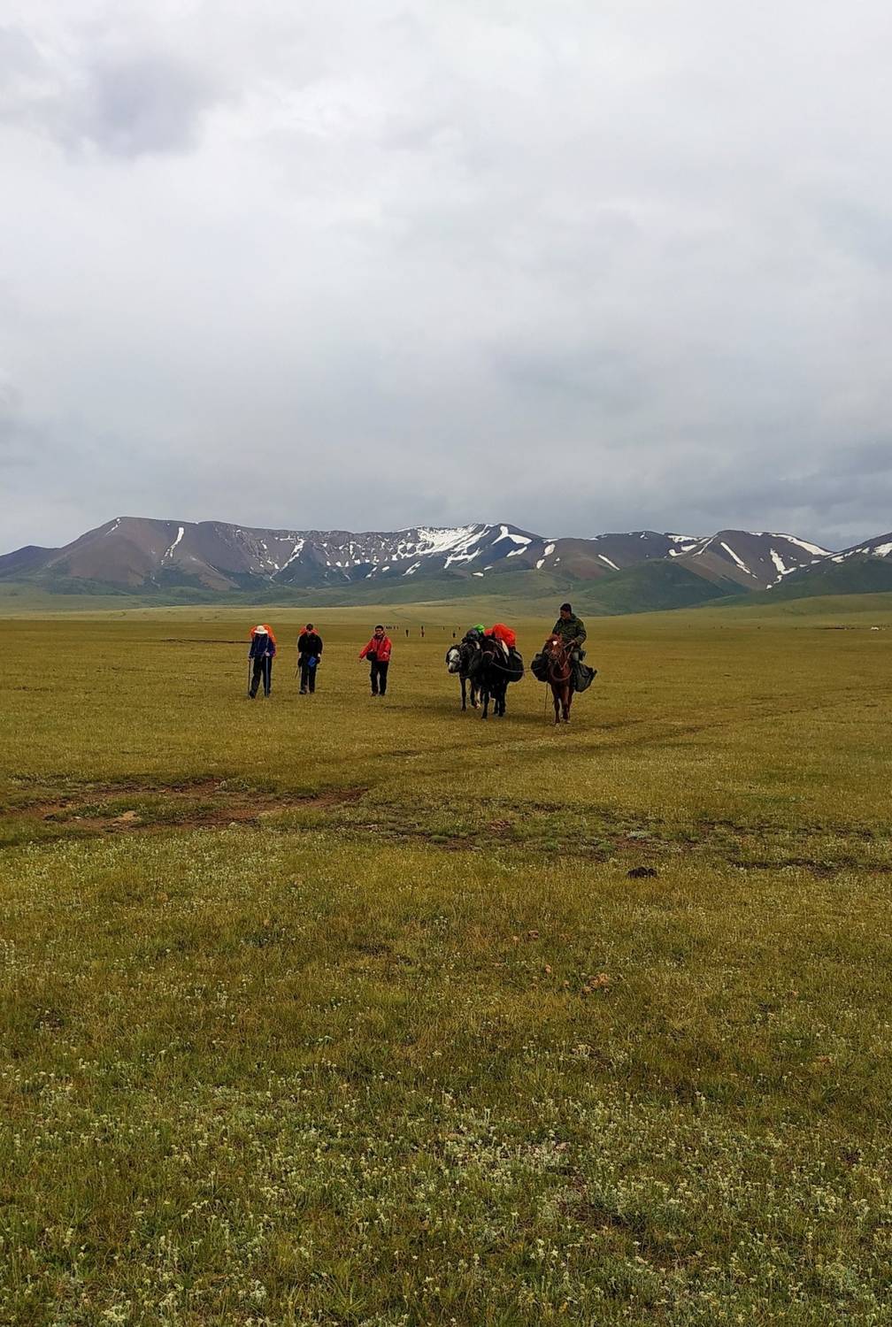 Photo #13697616