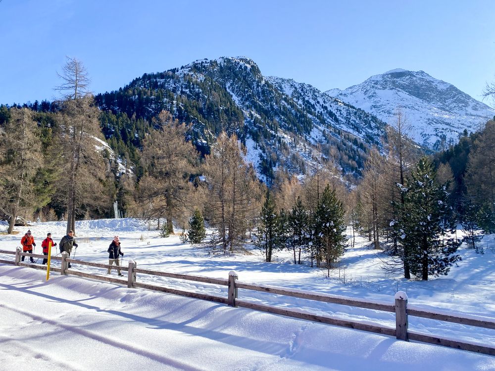 Tourists in the snow-covered Alps