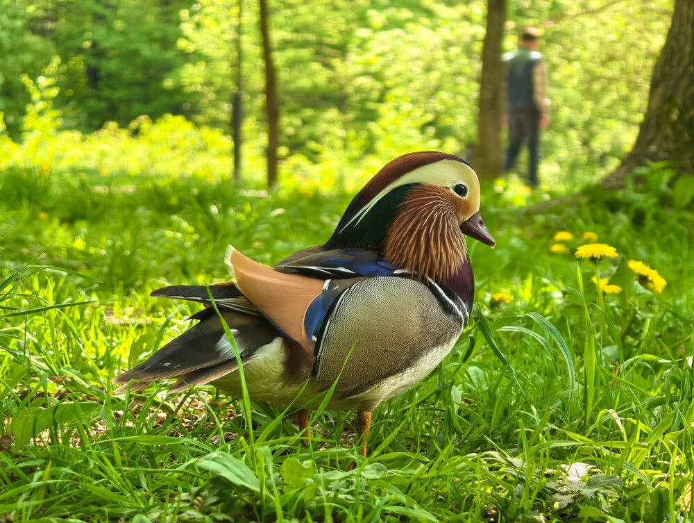 Photograph by Юлия