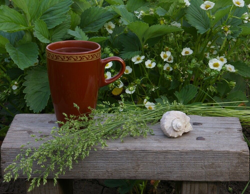 Photograph by Елена Алешкевич