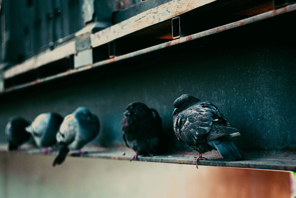 Photograph by Никита Харитонов