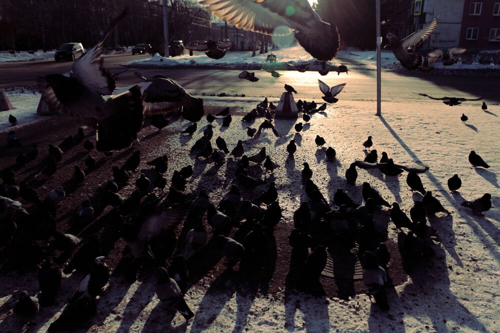 Photograph by Никита Харитонов