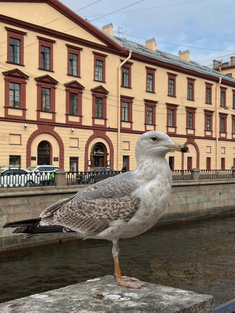 Photograph by Татьяна Собина