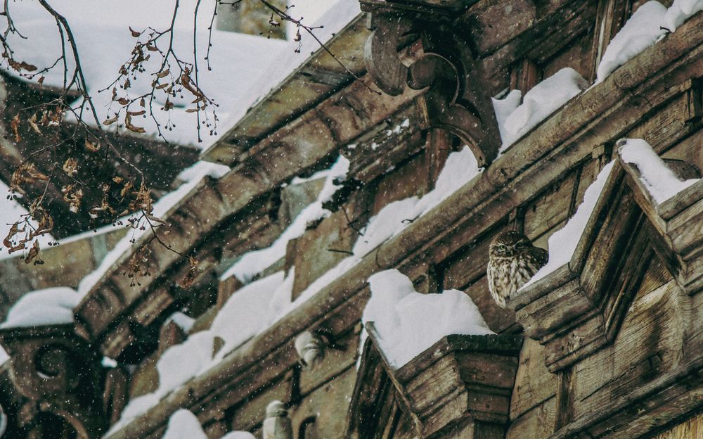 Photograph by Евгения Флиорчук