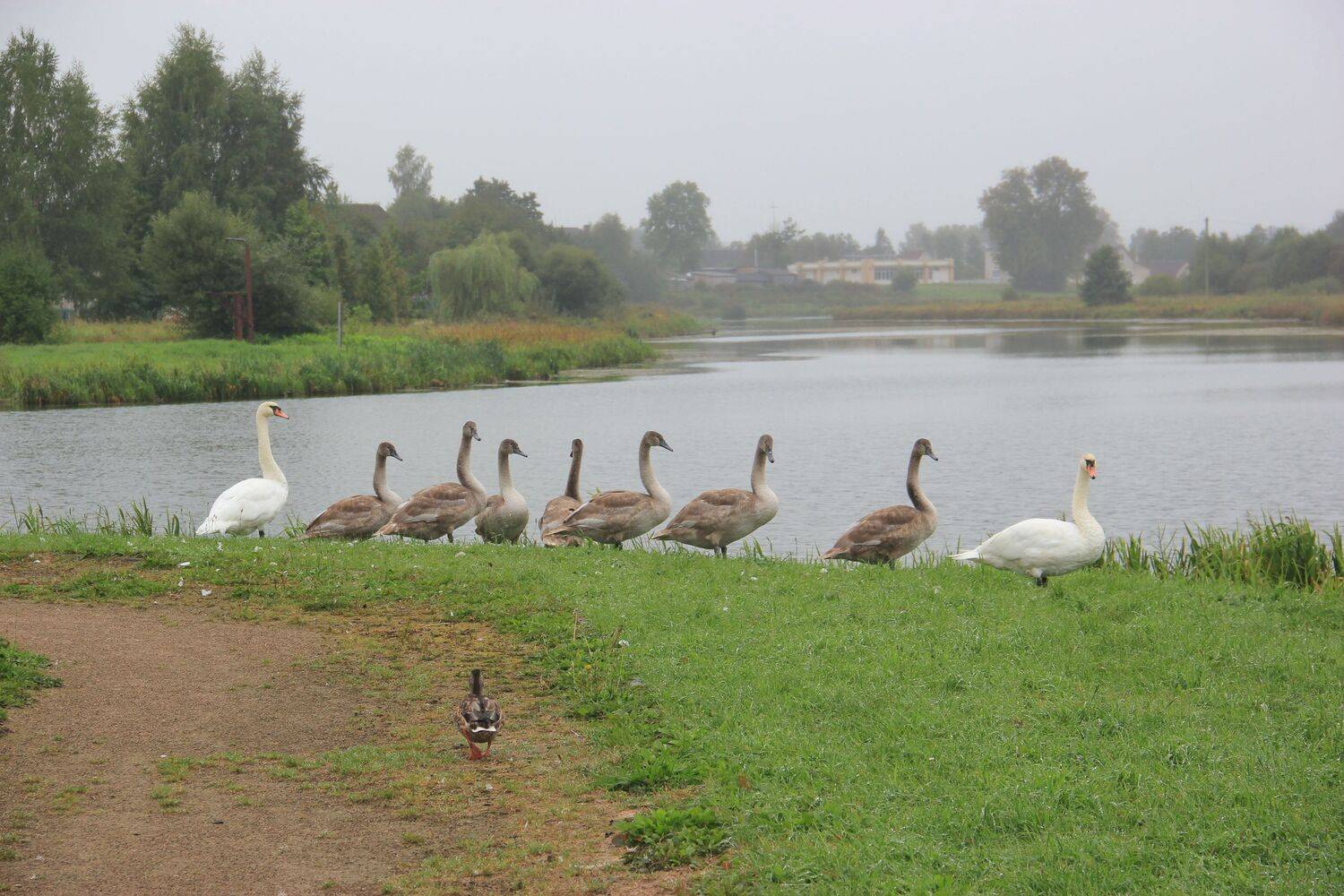Photo #13697738