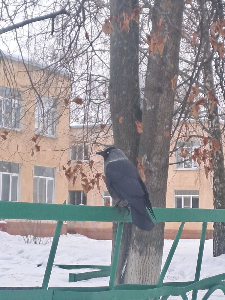 Photograph by Наталья Сдвижкова
