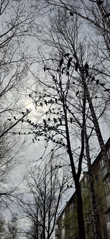 Photograph by Наталья Пирогова