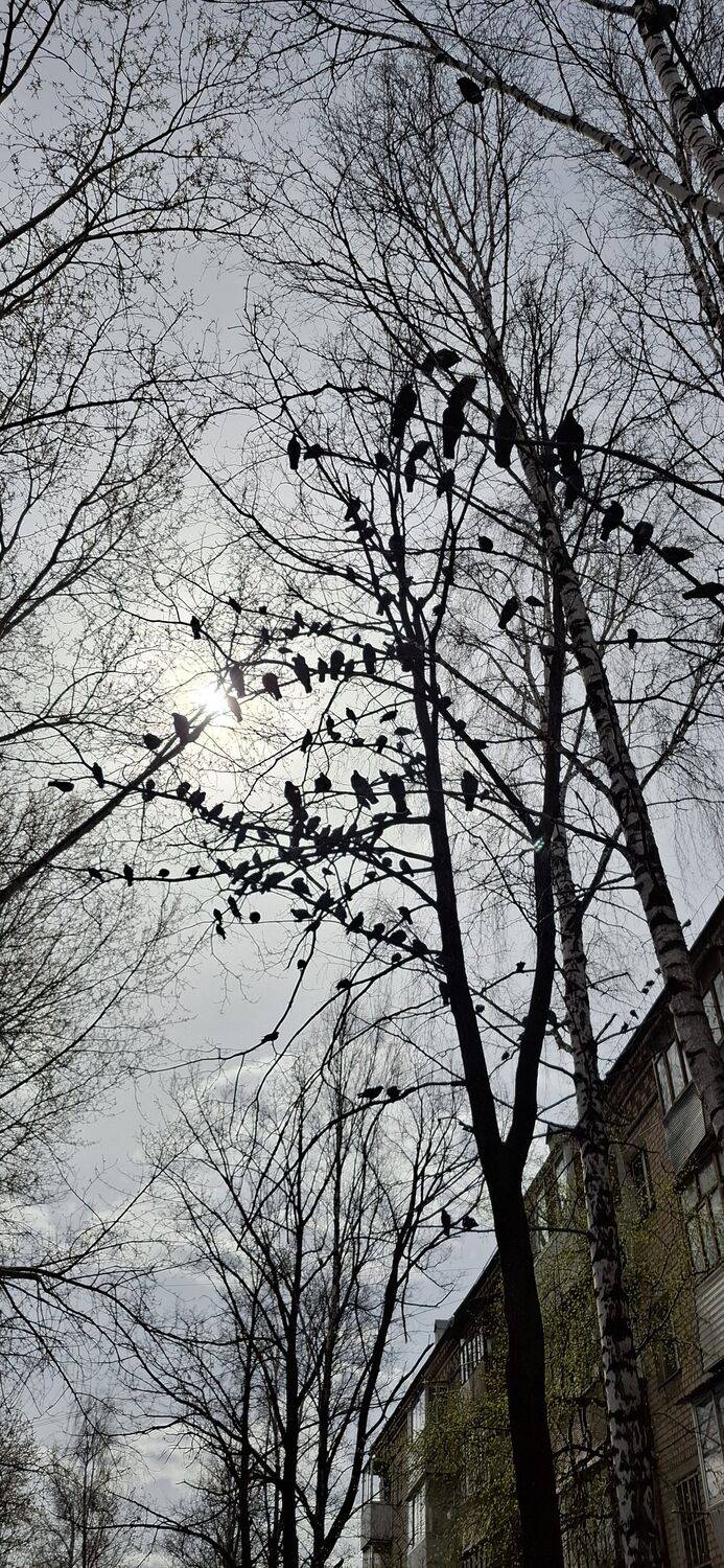 Photo #13697749