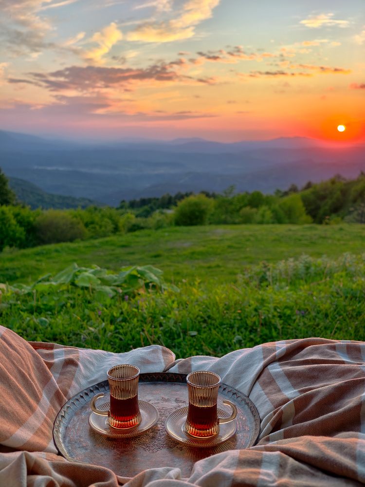 Фотография автора Раздорова Мария